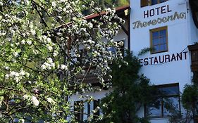 Hotel Theresenhof Reit im Winkl